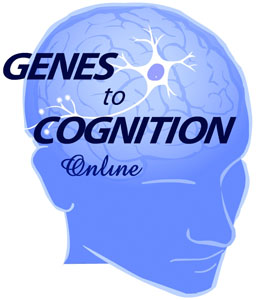 Genes to Cognition