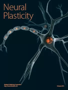 Neural Plasticity