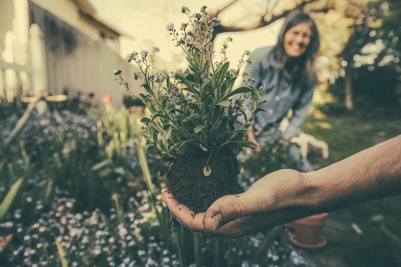 Psychology of Gardening